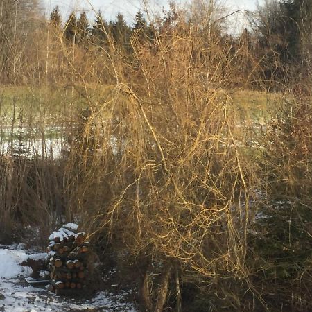 Privatzimmer Vermietung Helmut Buergmann Kirchberg bei Mattighofen Bagian luar foto
